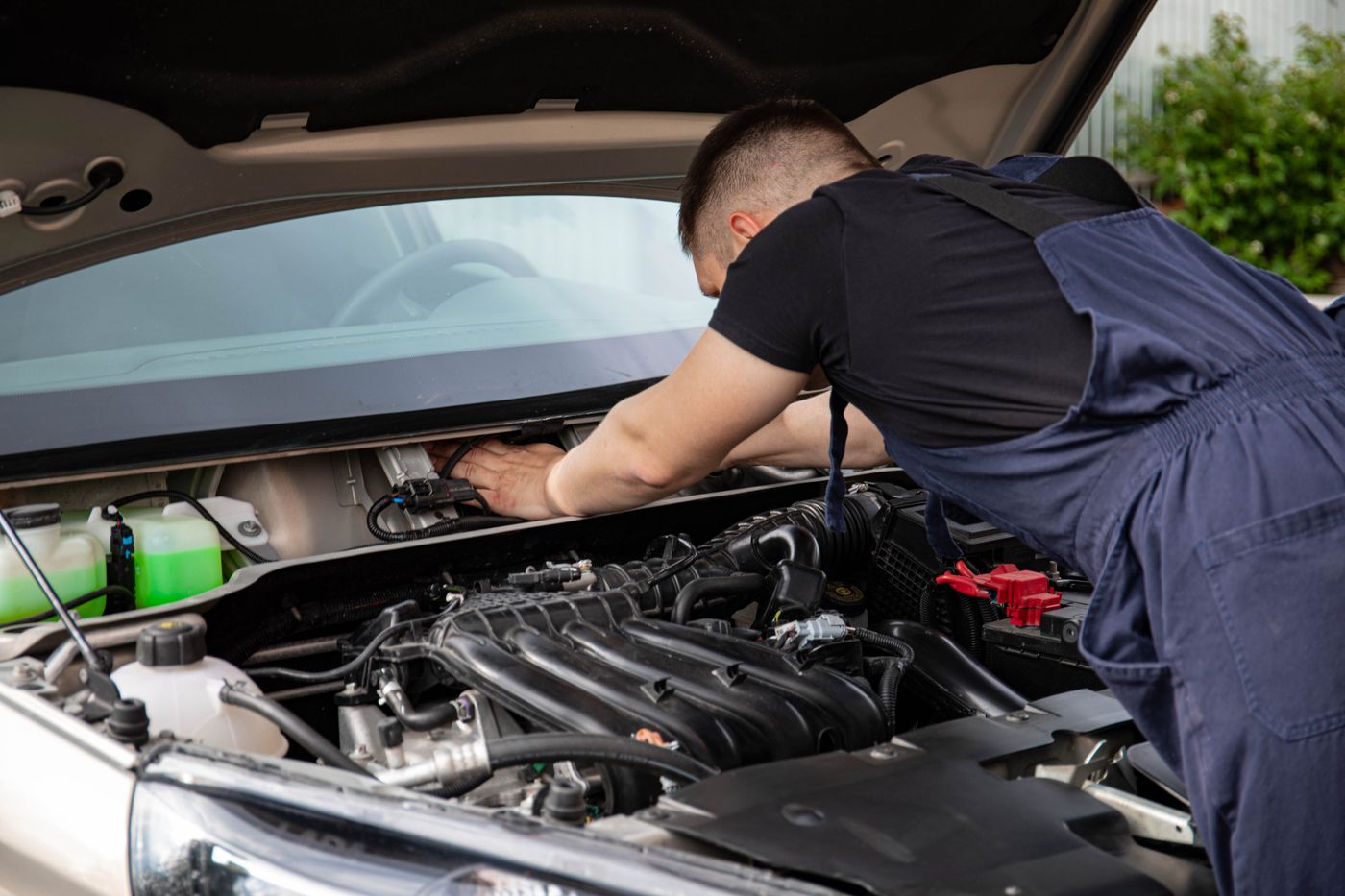 Clean car engine bay showing wiring and components where rats cause damage